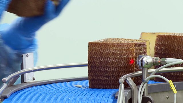 Quesos Revilla recibe el premio Pyme del Año 2024 de Zamora