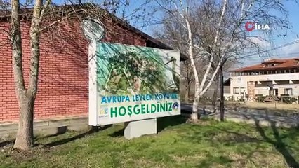 Sadece günler kaldı... Gölyazılı Adem amcanın Yaren leylek nöbeti başladı