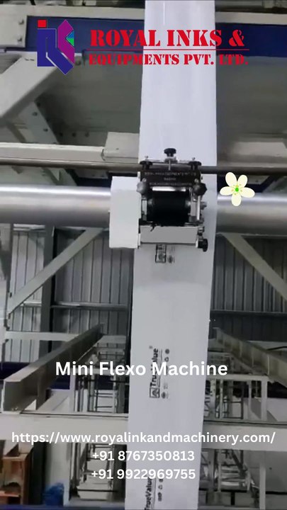 Mini Flexo Machine 2