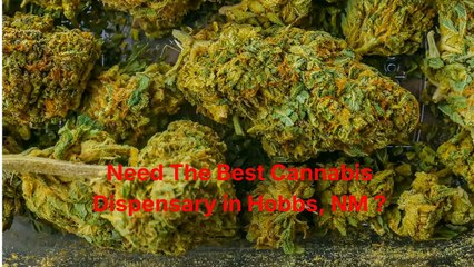 Dreamz Cannabis Dispensary in Hobbs, NM