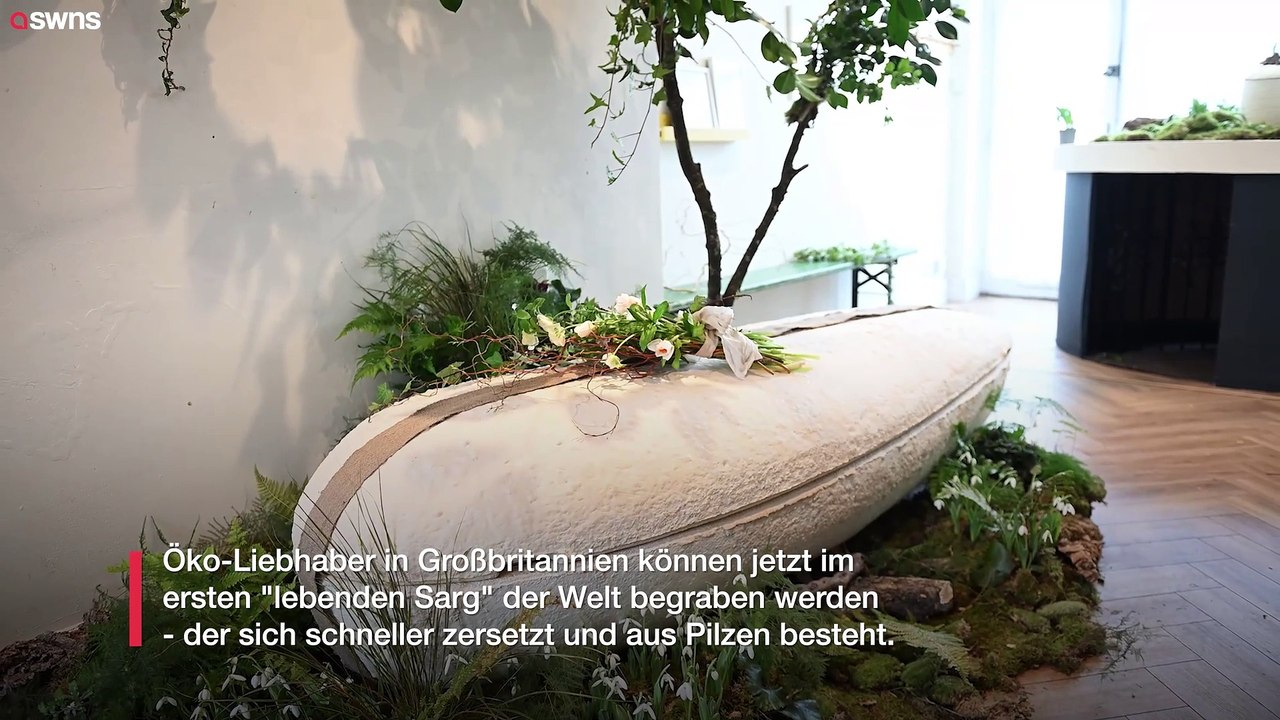 Bestattungsunternehmen bietet weltweit ersten 'lebenden Sarg' an - aus Pilzen hergestellt