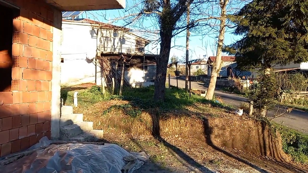 Yazlık köyü görüntüleri 2025