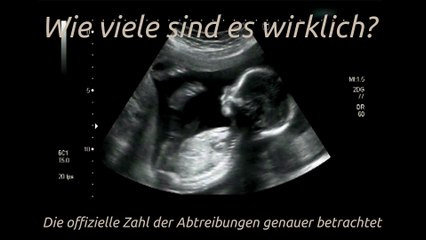 Wie viele sind es wirklich? - Die offizielle Zahl der Abtreibungen genauer betrachtet