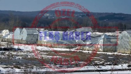 Sinop’ta kar felaketi: Seralar çöktü