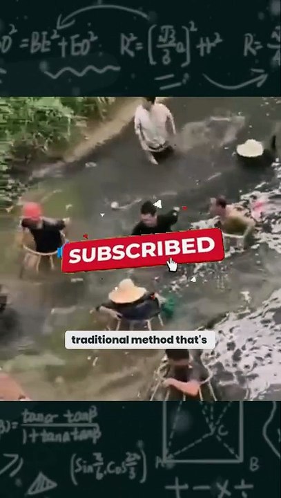 Unbelievable! Catching Fish with Bare Hands Using an Ancient Technique!