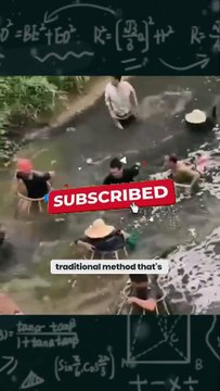 Unbelievable! Catching Fish with Bare Hands Using an Ancient Technique!