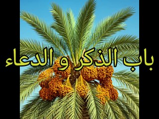 بلوغ المرام (127)