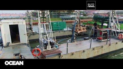 Robots and bubble barriers: How Venice and Portugal are tackling ocean plastic
