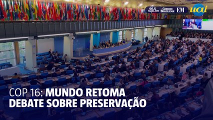 Mundo retoma debate sobre preservação na COP16 em Roma