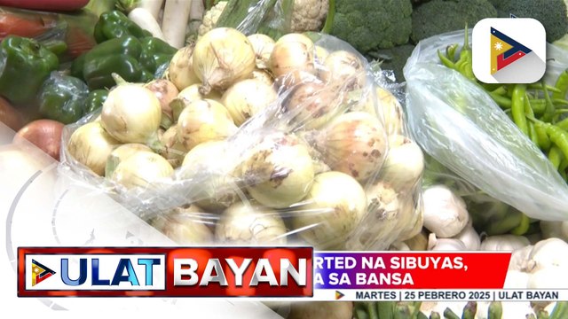 Daan-daang imported na sibuyas, dumating na sa bansa