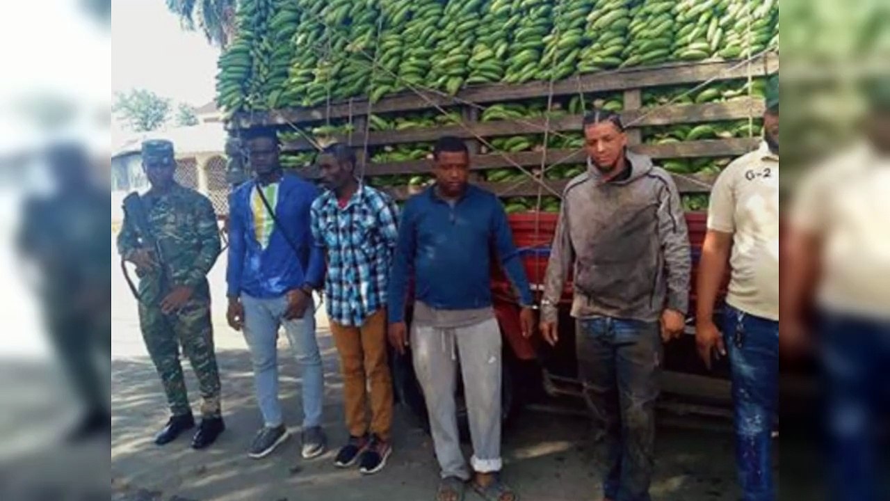 Detienen dominicanos que transportaban a haitianos indocumentados