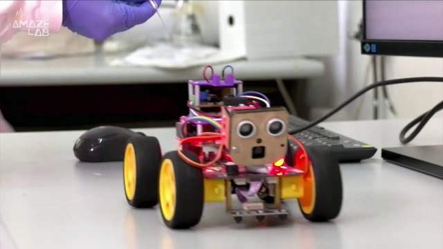 This Robot Actually Uses Locust Antennae to Smell Odors!