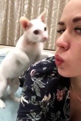 😹 When Pets Go Wild – Funny Moments Caught on Camera! 😹  #5