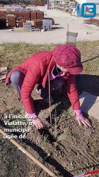 Des bénévoles plantent une haie à Bar-sur-Seine pour égayer le paysage tout en préservant la biodiversité