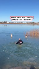 OWNER JUMPS INTO A FROZEN LAKE TO SAVE THEIR DOGS