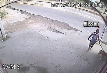 Crime de 2019 atribuído ao serial killer, Albino Santos