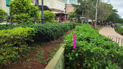 Plaza "La isla"- Mérida- Yucatán.