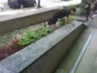 Saut De Chat iinverse