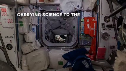 SpaceX CRS-29 Mission To Space Station - Science Payloads Explained