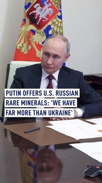 Putin offers U.S. Russian rare minerals: 'We have far more than Ukraine'