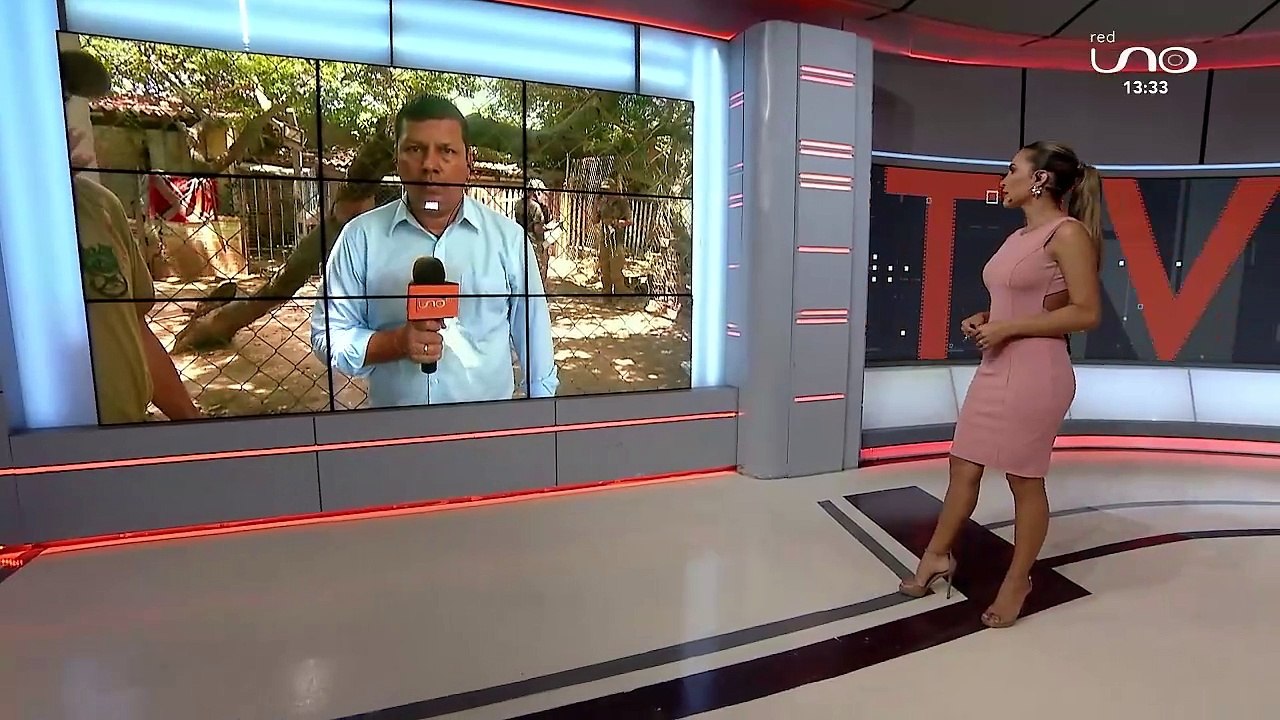 Pofoma investiga biocidio en refugio al menos diez perros fueron envenenados
