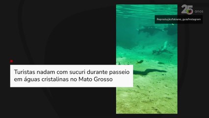 Turistas nadam com sucuri durante passeio em águas cristalinas no Mato Grosso