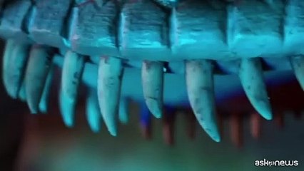 Arriva a Roma Dinosaurs Live Jurassic Tour Exhibition