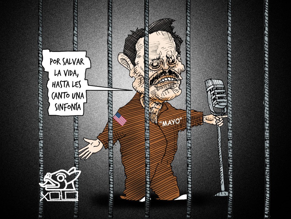 Xolo | Promoción