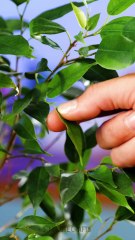 Care for yourself, anytime! Easy hacks for daily wellness!