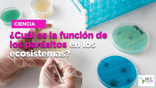 ¿Cuál es la función de los parásitos en los ecosistemas?