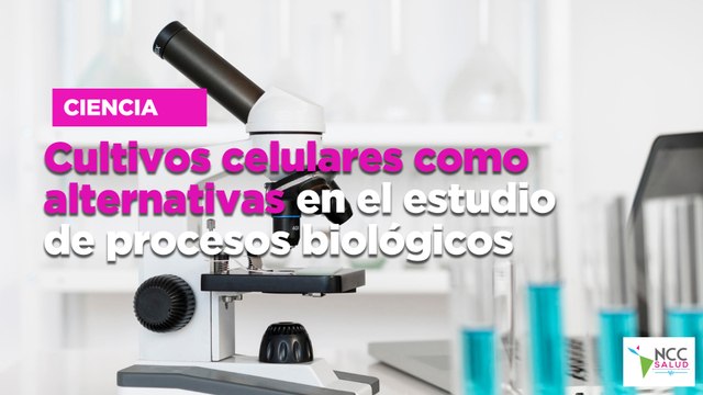 Cultivos celulares como alternativas en el estudio de procesos biológicos