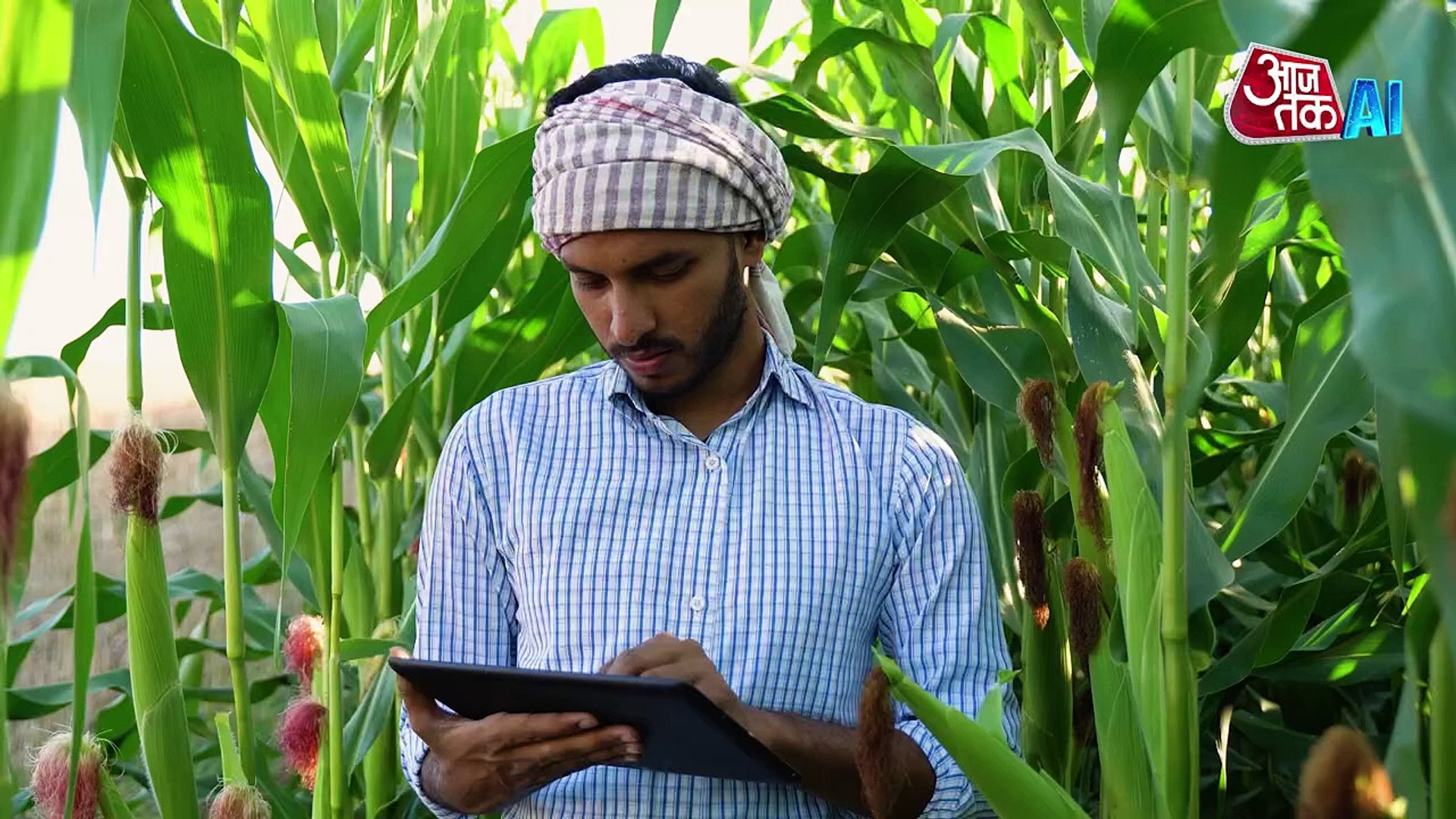 महाराष्ट्र के किसान खेती में अपना रहे AI टेक्नोलॉजी, माइक्रोसॉफ्ट CEO ने शेयर किया Video