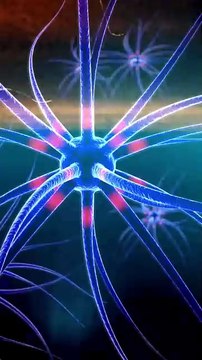 🤯 Savais-tu que le ronronnement d’un chat peut booster ta productivité et diminuer ton stress et ton anxiété 🧠💥 #productivité #developpementpersonnel