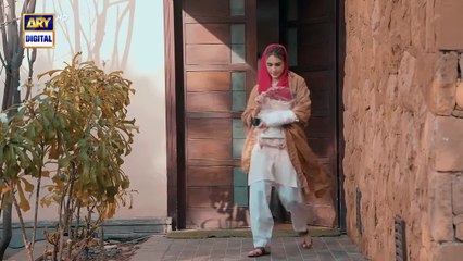 Naqaab Episode 3 | Ali Ansari | Hina Tariq | Humayoun Ashraf | Ghana Ali | 25 Feb 2025 | ARY Digital | Drama Adda