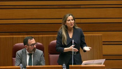 Intervención de Ana Rosa Hernando durante el pleno de las Cortes.