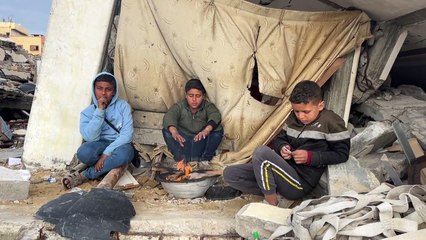 Seis recém-nascidos morreram em Gaza devido à onda de frio