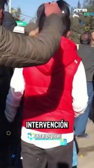 ATB EXPLICA - Rescatan a 53 animales del comercio ilegal en el Alto