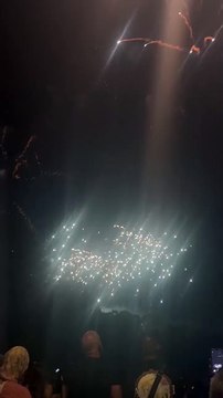 Le Feu d’artifice du 14 juillet Grenoble Parc Jean-Verlhac Villeneuve #france #grenoble #show (19)