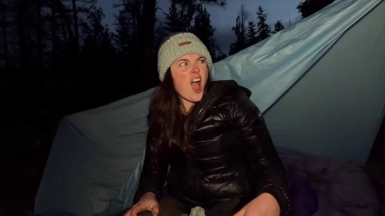 Solo Survival Camping - No tent, Coyotes & Bushcraft