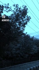 5 Powerful Life Rules for Success and Growth