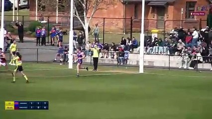 PREMIER DATA: Lachlan Tardrew and Fergus Greene 2024 BFNL grand final goals.