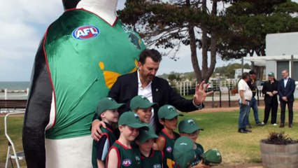 Poll reveal Hobart’s Macquarie Point stadium unpopular in Liberal Party heartland