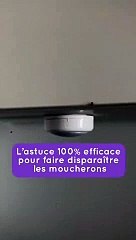 Astuce - anti moucherons