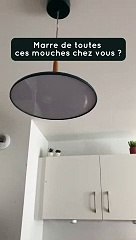 ASTUCE - anti mouches
