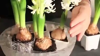 Une composition florale hivernale blanche comme neige