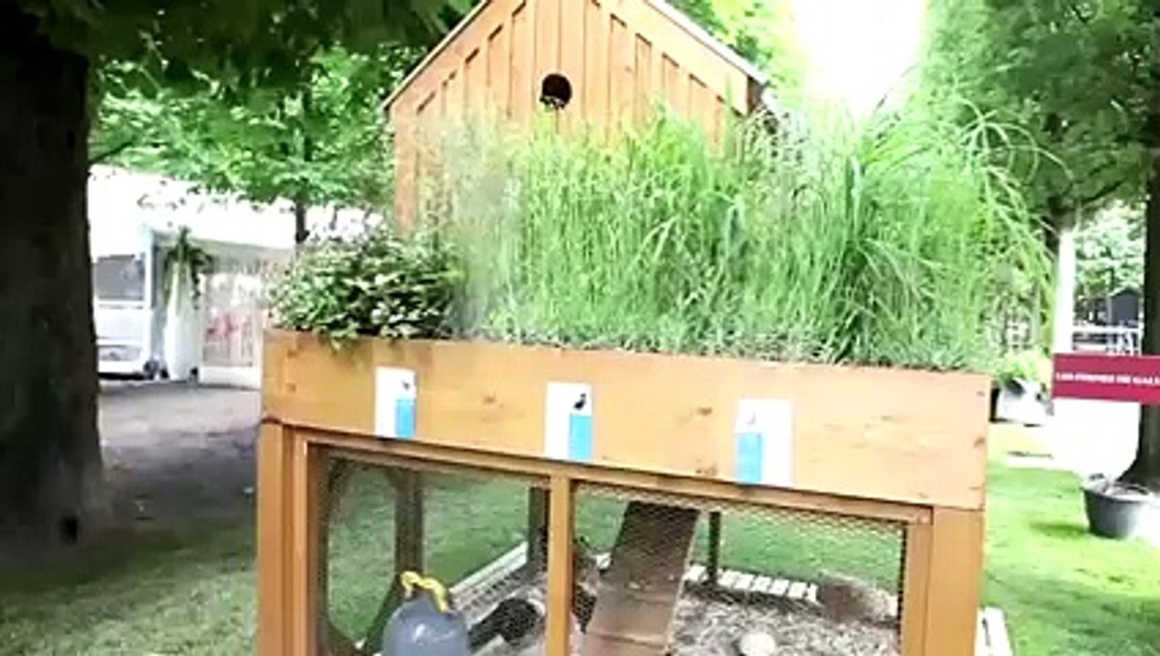 Jardins, Jardin : tendance 2014, des poulaillers urbains