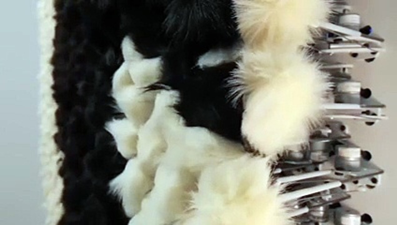 PomPom Mirror, un miroir qui n'a pas froid aux yeux !