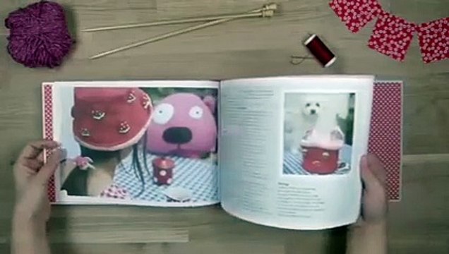 Livre : Mes petites bricoles