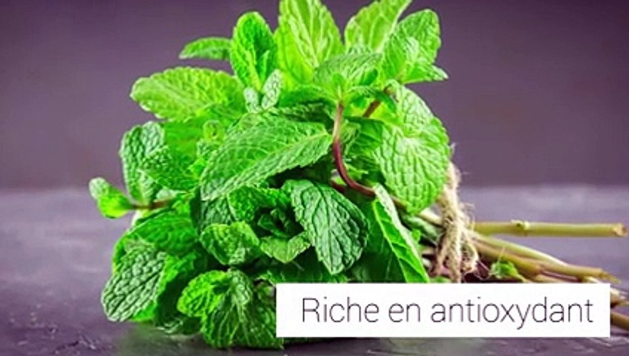 La menthe