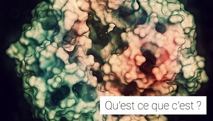 Gamma-GT : décryptage de sa prise de sang